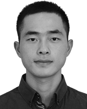 Y. L. Li