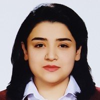 Rezvan Joshaghani