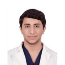Abdulaziz M. Alghamdi
