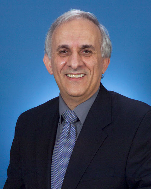 Baruch Levush