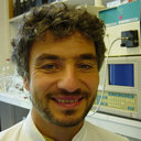 Rainer Trittler
