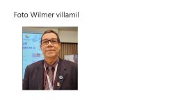 Villamil-Gómez Wilmer