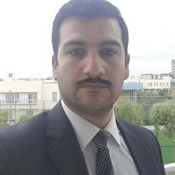 M. A. Alsalem