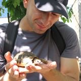 Popescu T