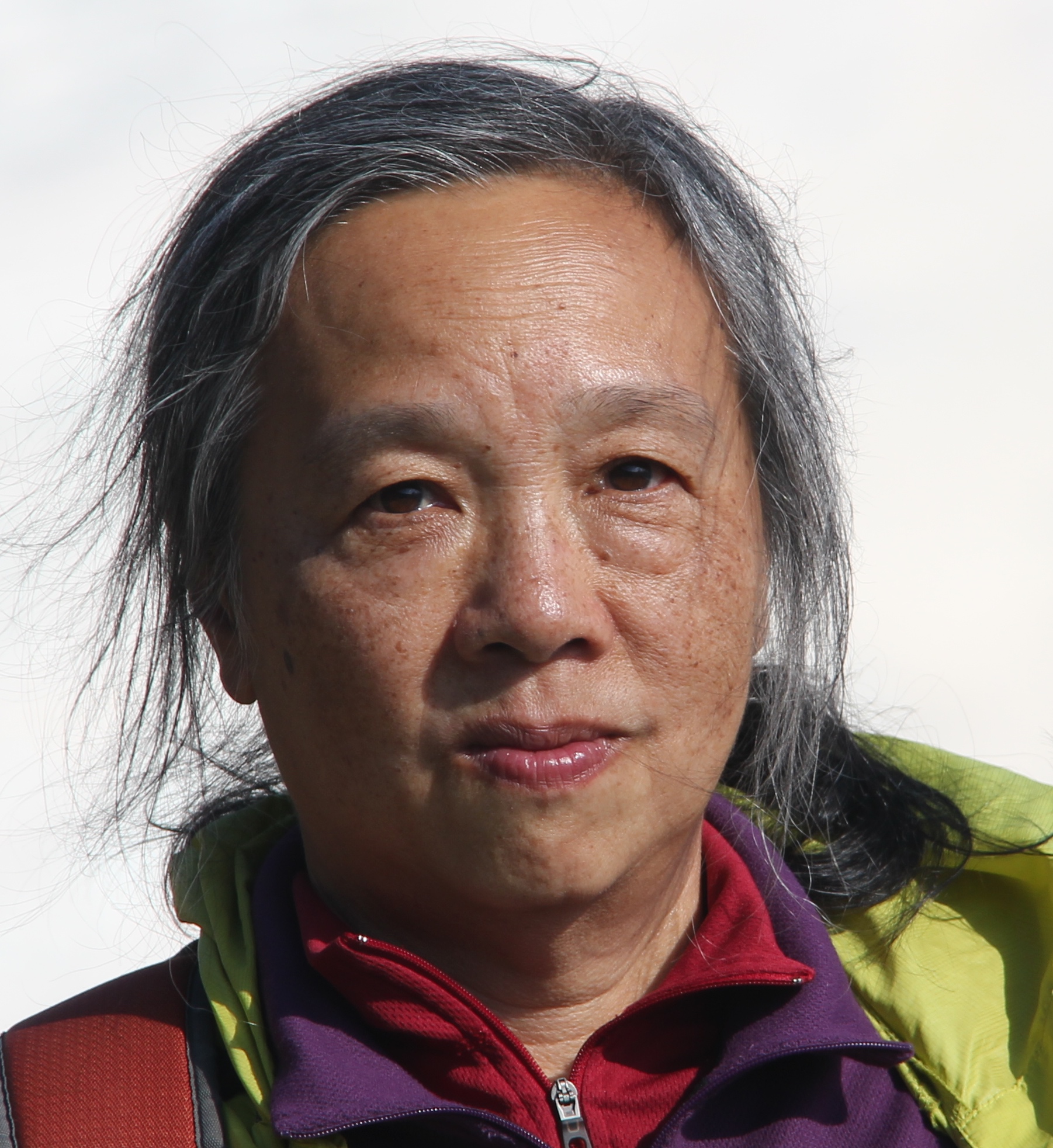 Lai-Sang Young