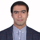 Mojtaba Roeyn Ahli