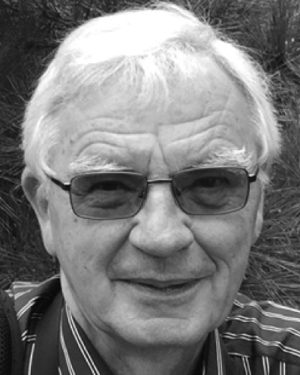 Yu. P. Bliokh