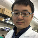 Shuang Wei