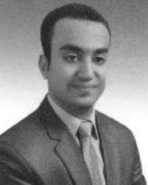 A.M. Abd Elhamid