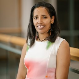 Yemarshet K Gebreyohannes