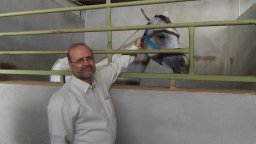 Saeid Esmaeilkhanian