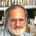 Peter G Sacks