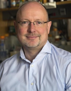 Matthias Gromeier