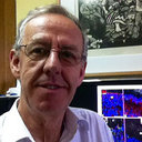 Eduardo Couve