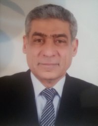Mohamed T. El-Wakad