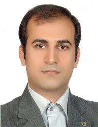 Abdulhamid N.M. Ansari