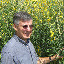 Jorge A. Mosjidis