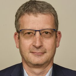 a znidaric