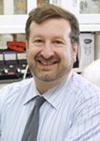 David Scheinberg
