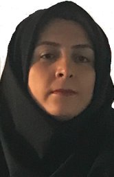 Maryam Sheibi