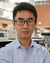 Xiaoyu Zhang
