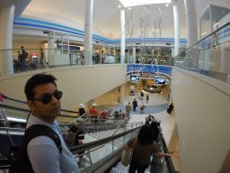 s tripathi