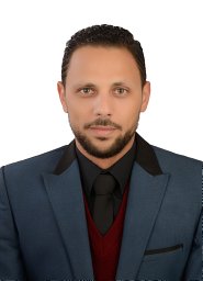 Mohamed N El-Bayaa