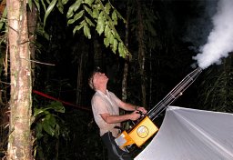Terry L. Erwin