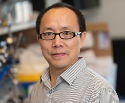 Zilai Wang