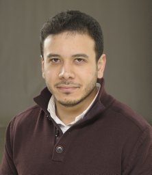 Abu el Maaty Mohamed A