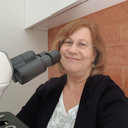 Teresa Ribalta