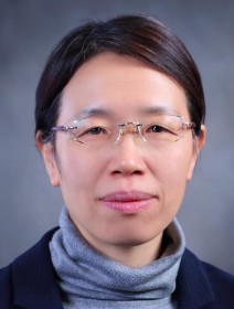 Yaxia Yin