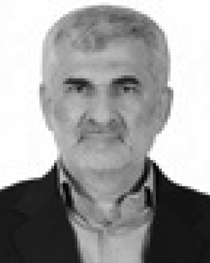 Bizhan Rashidian