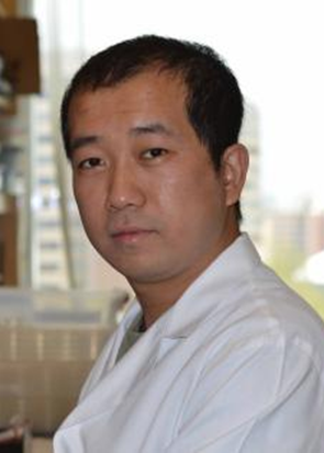 Kai Mao