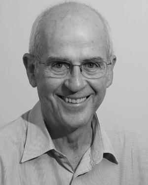 Willem J Perold