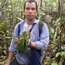 Boris Villanueva Tamayo