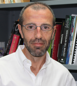 Antoni Barrientos