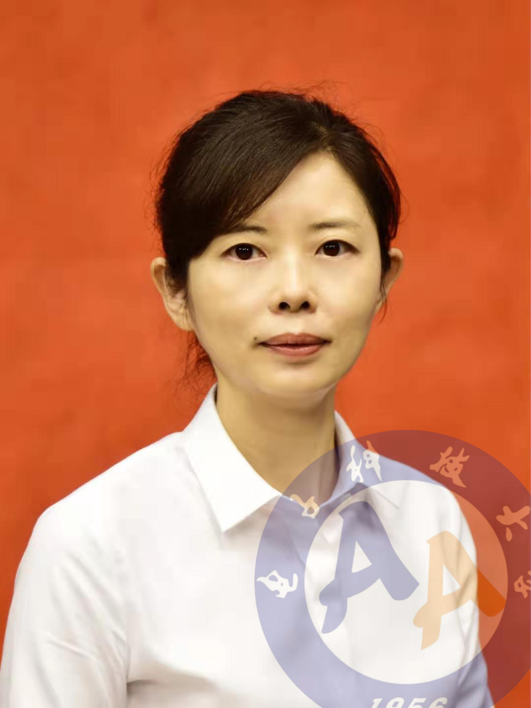 Limei Xu