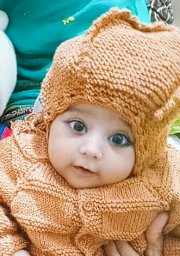 Iqbal Anam