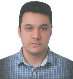 Hossein Arasteh