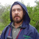 Peter Scogings