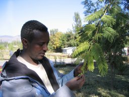 Abrham Abiyu