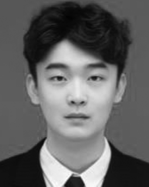 Luyuan Feng