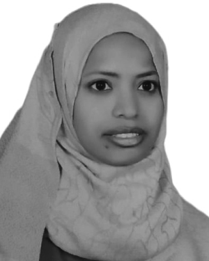 Shereen A. Mohamed