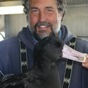 Daniel Roby