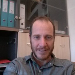 Arye Harel