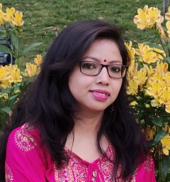 Roy Babli