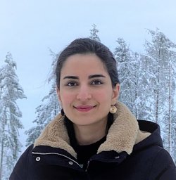 Shekoufeh Gorgi Zadeh