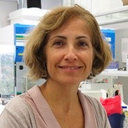 Nuria Casals Farre