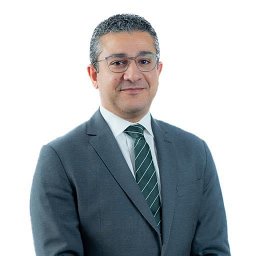 Sherif S. Abdelsalam